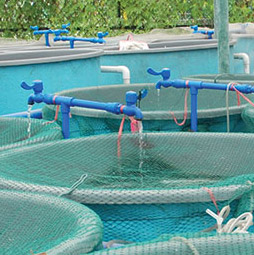 Aquaculture industry tanks